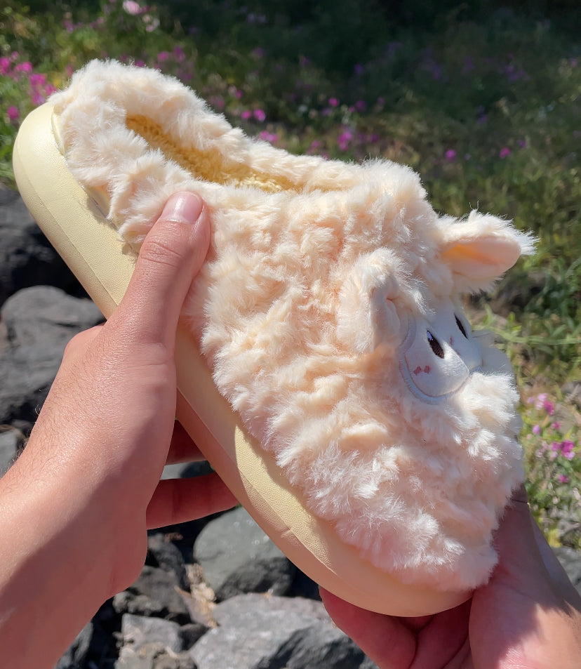 Sheep Slippers